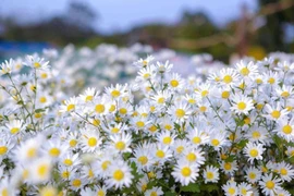 Trẻ sinh vào 6 ngày Âm này trời ban phúc khí, về sau thành tài