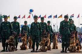 Trầm trồ màn vượt lửa của những cảnh khuyển tại Triển lãm Quốc phòng