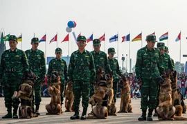 Trầm trồ màn vượt lửa của những cảnh khuyển tại Triển lãm Quốc phòng