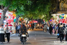 Không khí Giáng sinh tràn ngập phố phường Hà Nội 