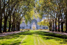 Lạc lối trong khu vườn cổ xưa nổi tiếng nhất Australia