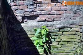 Khám phá chiếc giếng nghìn tuổi nước cực ngon giữa phố cổ Hội An