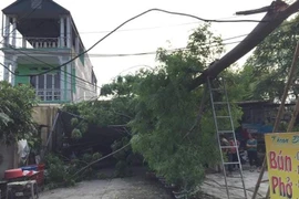 Dông lốc tại Bắc Kạn, hơn 1.200 ngôi nhà hư hỏng 