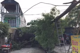 Dông lốc tại Bắc Kạn, hơn 1.200 ngôi nhà hư hỏng 