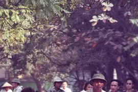 Thời thịnh vượng của xích lô Hà Nội qua ống kính khách nước ngoài