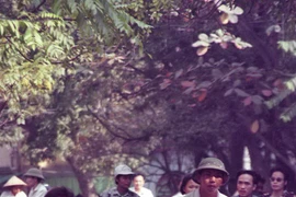 Thời thịnh vượng của xích lô Hà Nội qua ống kính khách nước ngoài