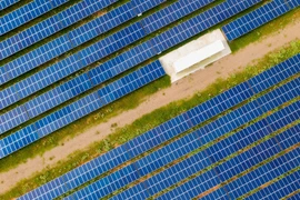 Bộ Công Thương hỏa tốc yêu cầu EVN đàm phán xong giá điện tái tạo