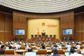 Sáng 9/5, Quốc hội thảo luận sửa đổi Luật Thuế tiêu thụ đặc biệt