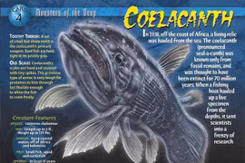 Sự thật chấn động về loài 'hóa thạch sống' nổi tiếng nhất thế giới