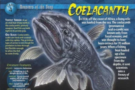 Sự thật chấn động về loài 'hóa thạch sống' nổi tiếng nhất thế giới