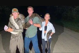 Chàng trai tay không tóm gọn trăn 'khủng' dài gần 5m 