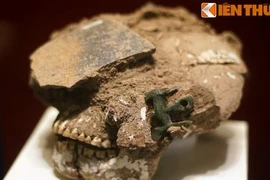 Soi món trang sức bí ẩn trên sọ người Nam Bộ 2.000 năm trước