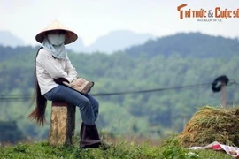 Vẻ đẹp đời thường của người phụ nữ khắp ba miền Việt Nam