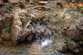 Bí ẩn của dòng suối chảy qua làng cổ Thiên Xuân 