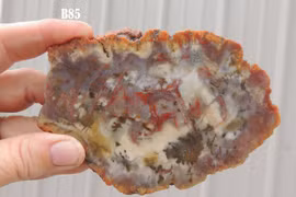 Sốc với công dụng đa năng của phân hóa thạch triệu tuổi