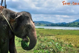 Chiêm ngưỡng ba hồ nước nổi tiếng nhất Tây Nguyên 