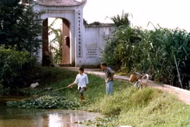 Ảnh độc: Khó nhận ra đây là hồ Tây, hồ Trúc Bạch 32 năm trước