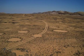 Kỳ bí hiện tượng vòng tròn thần tiên, chuyên gia không thể giải mã 