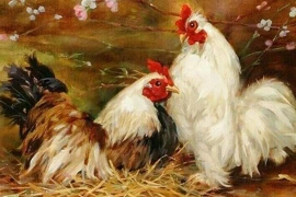 3 tuổi đỏ nhất 100 ngày tới, lộc dâng tận cửa, giàu nứt đố