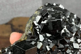 Chàng trai Hải Phòng chi trăm triệu đồng sưu tầm tinh thể đá quý 