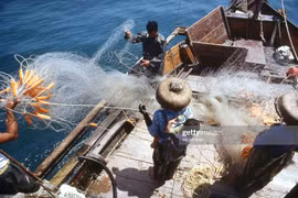 Loạt ảnh đặc sắc về cuộc sống của người Hồng Kông những năm 1970-1980 