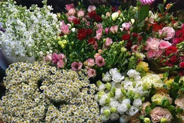 Thị trường hoa tươi dịp 8/3 năm nay: Tăng giá tới 200%