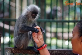 Top 10 địa điểm phải ghé thăm ở phường Sài Gòn, TP HCM