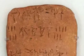 Chuyên gia vắt óc giải mã loại chữ viết cổ xưa 