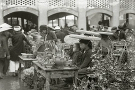 Ngưỡng mộ thú chơi hoa Tết tinh tế của dân Hà Nội xưa