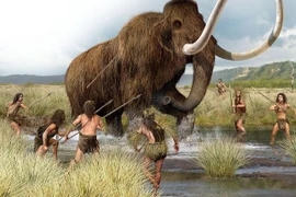 Bí ẩn vùng đất từng nối liền nước Anh với châu Âu