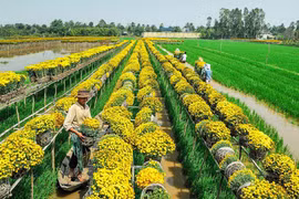 Khám phá tên gọi về địa danh Sa Đéc