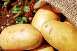 Cách ăn khoai tây không làm tăng lượng đường