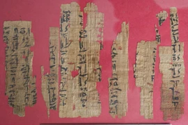 Giải mã bản thảo Ai Cập chứa kiến thức toán học vượt thời đại