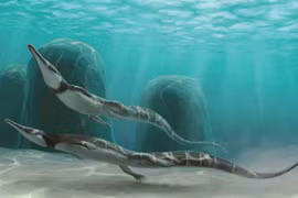 Hé mở sự thật đố ai tin nổi về tổ tiên của các loài rắn