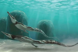 Hé mở sự thật đố ai tin nổi về tổ tiên của các loài rắn