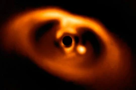 Lộ diện “Hành tinh tu hú” bí ẩn, khoa học phải viết lại?