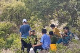 Kinh hãi phát hiện bộ xương người trong vườn cà phê