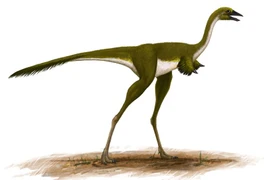 Cận cảnh loài khủng long có đôi tay dị dạng nhất quả đất