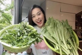 Vườn rau trăm thứ rau quả của mẹ đơn thân hot nhất showbiz 