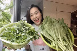 Vườn rau trăm thứ rau quả của mẹ đơn thân hot nhất showbiz 