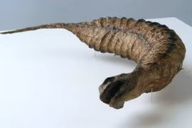 Rùng mình top quái vật nhiều người tin có thật 100% ở Nhật Bản