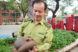 TPHCM liên tục phát hiện động vật quý hiếm sau đêm mưa