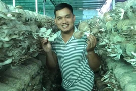 Cầm giấy tờ nhà lấy tiền trồng nấm, chàng trai thu hơn 3 tỷ đồng