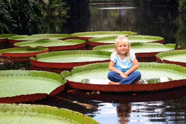 Những chiếc lá có hình thù độc lạ nhất thế giới thực vật