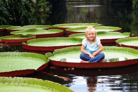 Những chiếc lá có hình thù độc lạ nhất thế giới thực vật