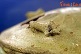 Cận cảnh thạp đồng “hổ vồ” tuyệt đẹp của người Việt Cổ