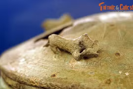 Cận cảnh thạp đồng “hổ vồ” tuyệt đẹp của người Việt Cổ