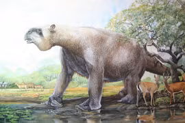 Khó tin loài lười khổng lồ thời tiền sử, bơi cực giỏi