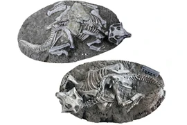 Sự thật 'mỏ vàng khủng long' hàng đầu thế giới ở Trung Quốc