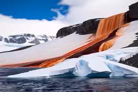 15 sự thật cực thú vị về lục địa băng giá nhất Trái đất